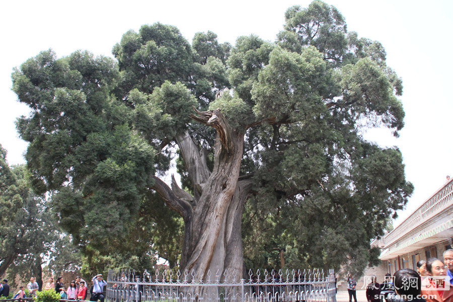 二月二龙抬头,电影里的经典发型总有1款适合你“tyc7111cc太阳成集团”(图3) 太阳成tyc7111cc官网