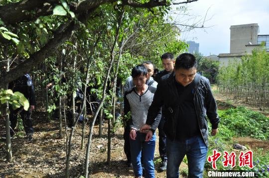 太阳成tyc7111cc|陈亮一行到回龙镇开展“不忘初心、牢记使命”主题教育专项整治工作巡回督导(图1) 太阳成tyc7111cc官网