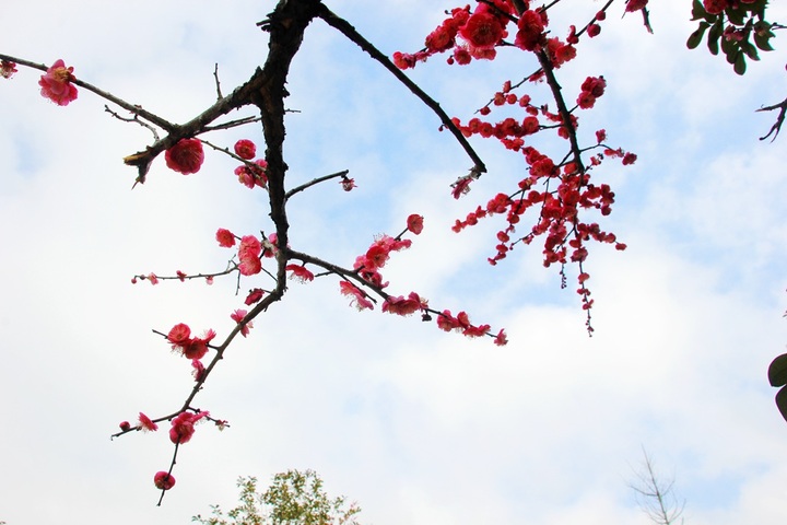 tyc7111cc太阳成集团