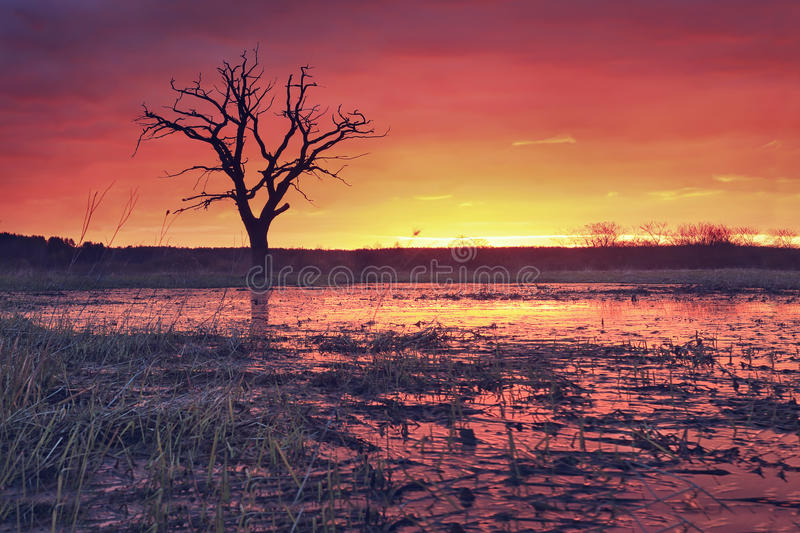 太阳成tyc7111cc官网