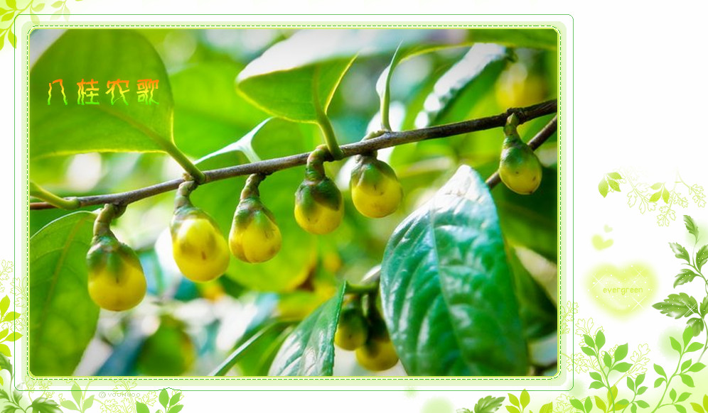 tyc7111cc太阳成集团