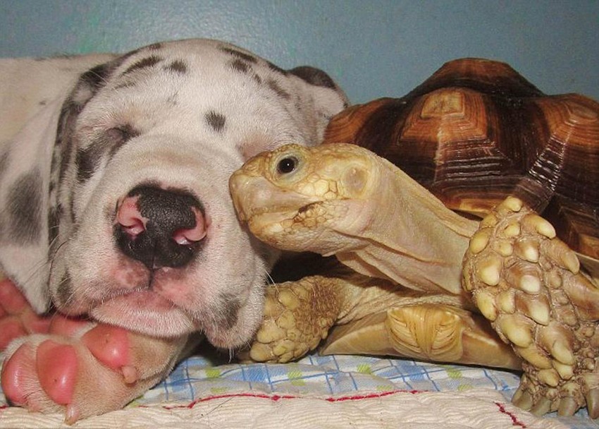 太阳成tyc7111cc官网