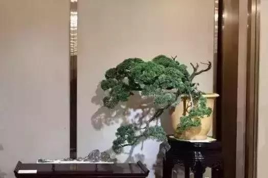 唐鹤德写“悼亡妻词”纪念张国荣 公开绝密合照|太阳成tyc7111cc官网(图1) tyc7111cc太阳成集团