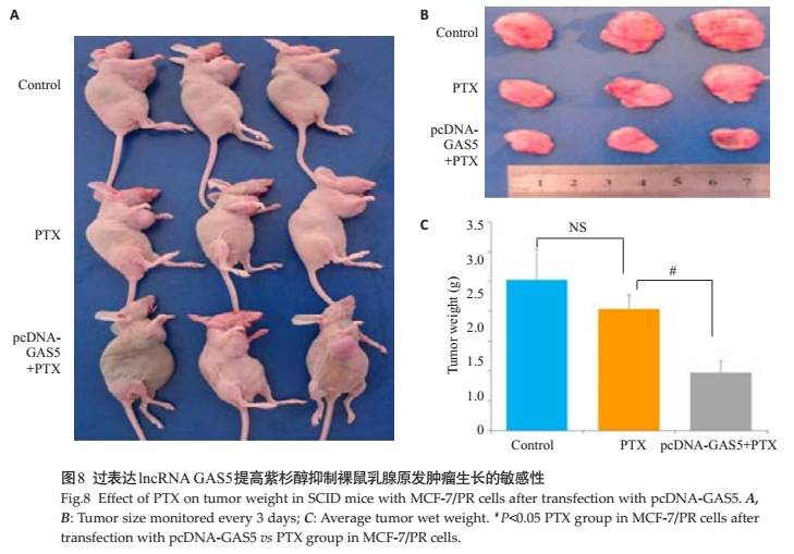 ‘太阳成tyc7111cc’跪出的票房奇迹! 《百鸟朝凤》周末狂揽2100万(图1) 太阳成tyc7111cc