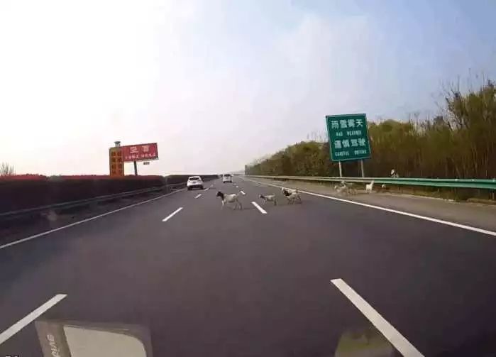 tyc7111cc太阳成集团:周六票房劲收2.64亿 《金刚:骷髅岛》开画两天单日成绩均超北美(图1) 太阳成tyc7111cc官网