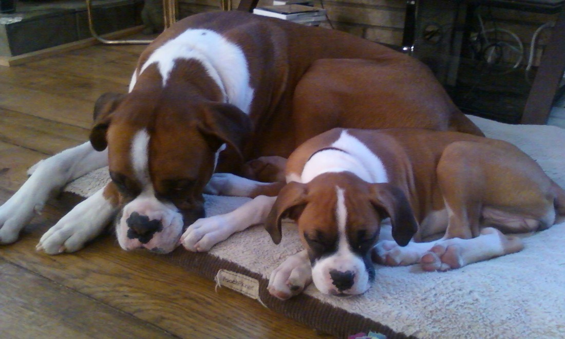 ‘太阳成tyc7111cc官网’海航酒店集团就南昌白金汇海航酒店KTV火灾发表声明(图1) 太阳成tyc7111cc