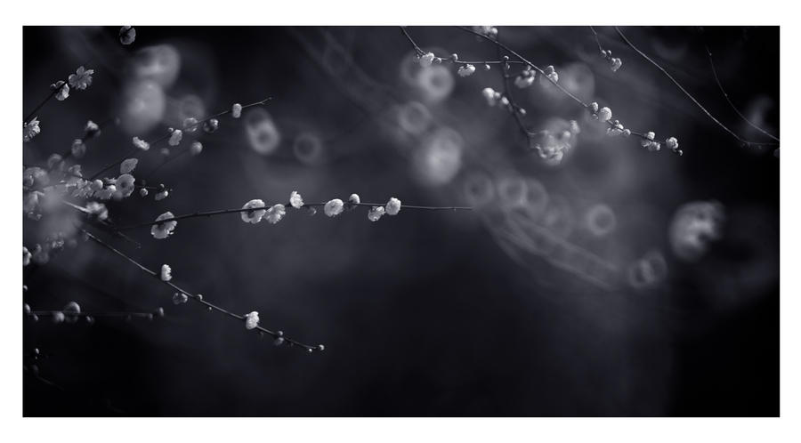 昆凌《天天向上》综艺首秀 全面进军内地娱乐圈_太阳成tyc7111cc官网(图2) 太阳成tyc7111cc官网