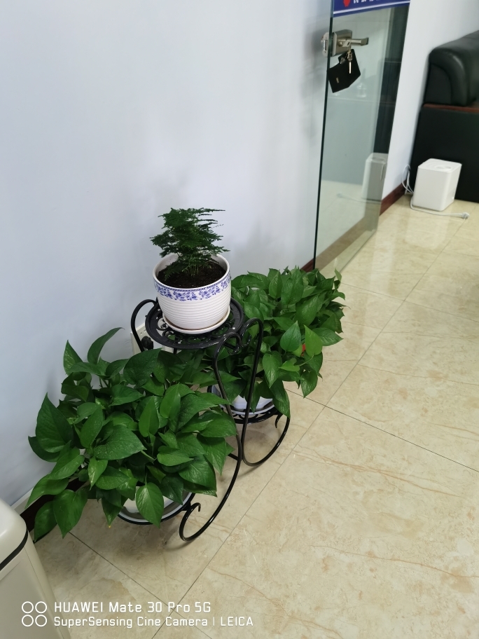 太阳成tyc7111cc:钟山县召开新型冠状病毒感染的肺炎疫情防控工作领导小组会议(图1) 太阳成tyc7111cc官网