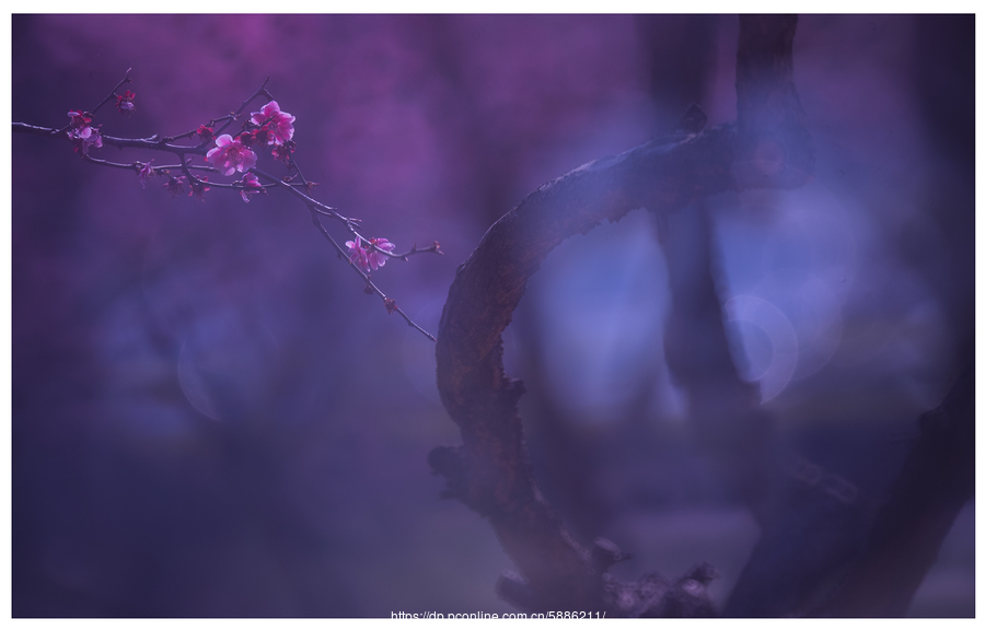 大S透露自虐倾向“饥饿”成瘾【tyc7111cc太阳成集团】(图2) 太阳成tyc7111cc官网