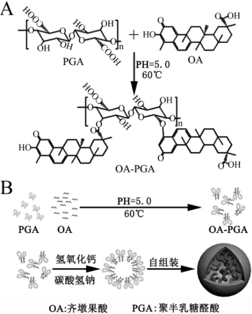 再谈“找市长”与“找市场”_太阳成tyc7111cc官网(图2) 太阳成tyc7111cc