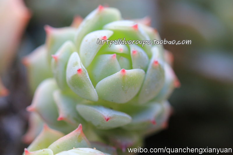 tyc7111cc太阳成集团|李宗瑞套图曝光 淫魔竟有金融女友出面讲情盼平安(图)(图2) 太阳成tyc7111cc官网