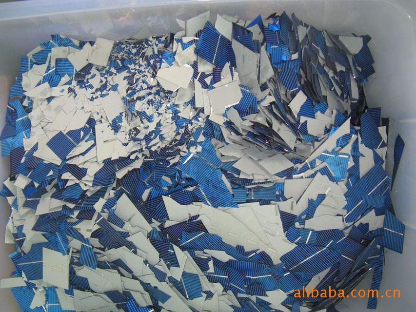 供销社:采摘明前茶尝鲜甘甜味 开展有机品牌认证打造农产品品牌价值|太阳成tyc7111cc官网(图2) 太阳成tyc7111cc官网