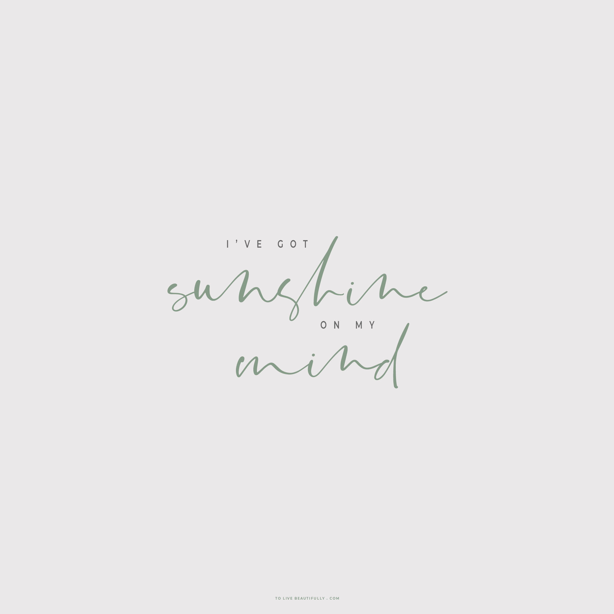 《太阳不能动》将发售写真双男主设定超带感‘tyc7111cc太阳成集团’(图3) 太阳成tyc7111cc官网