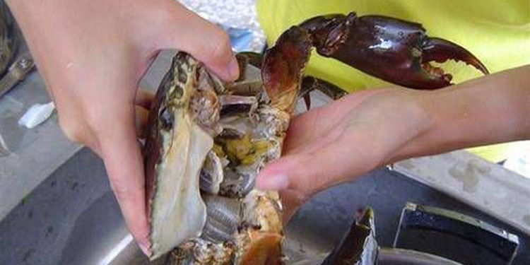 “太阳成tyc7111cc官网”华北电力设计院有限公司第一次党员代表大会胜利召开(图1) tyc7111cc太阳成集团