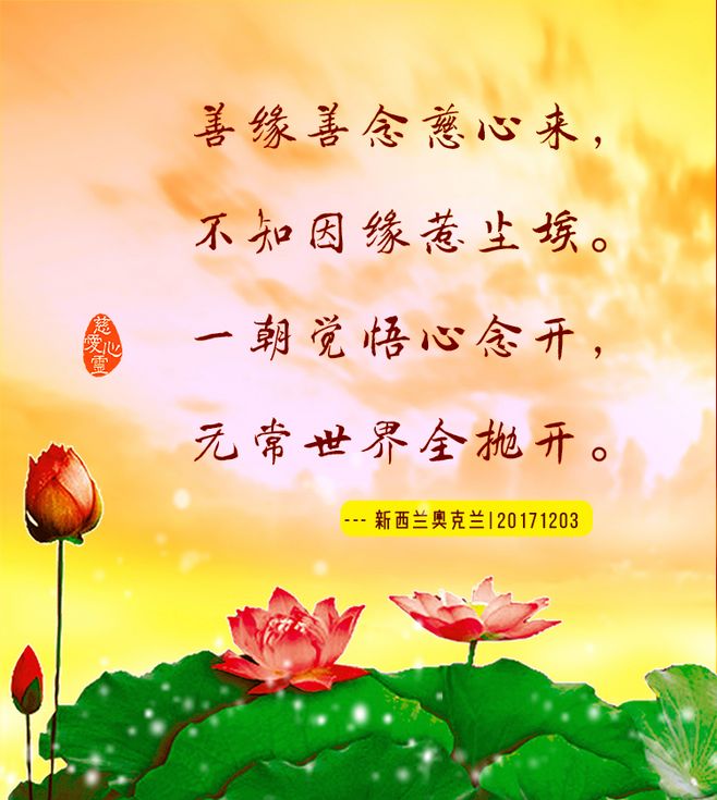 Mecanoo和MAYU建筑事务所荣获台南公共图书馆设计竞赛桂冠|太阳成tyc7111cc官网(图1) 太阳成tyc7111cc官网