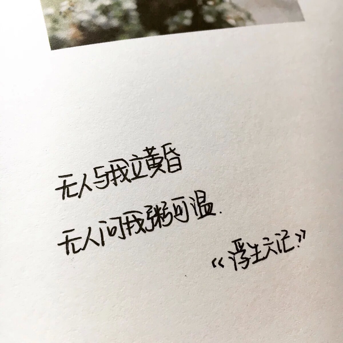 【太阳成tyc7111cc官网】中建美国公司格瑞森湾大桥项目荣获纽约大都会区年度建筑成就奖(图1) 太阳成tyc7111cc