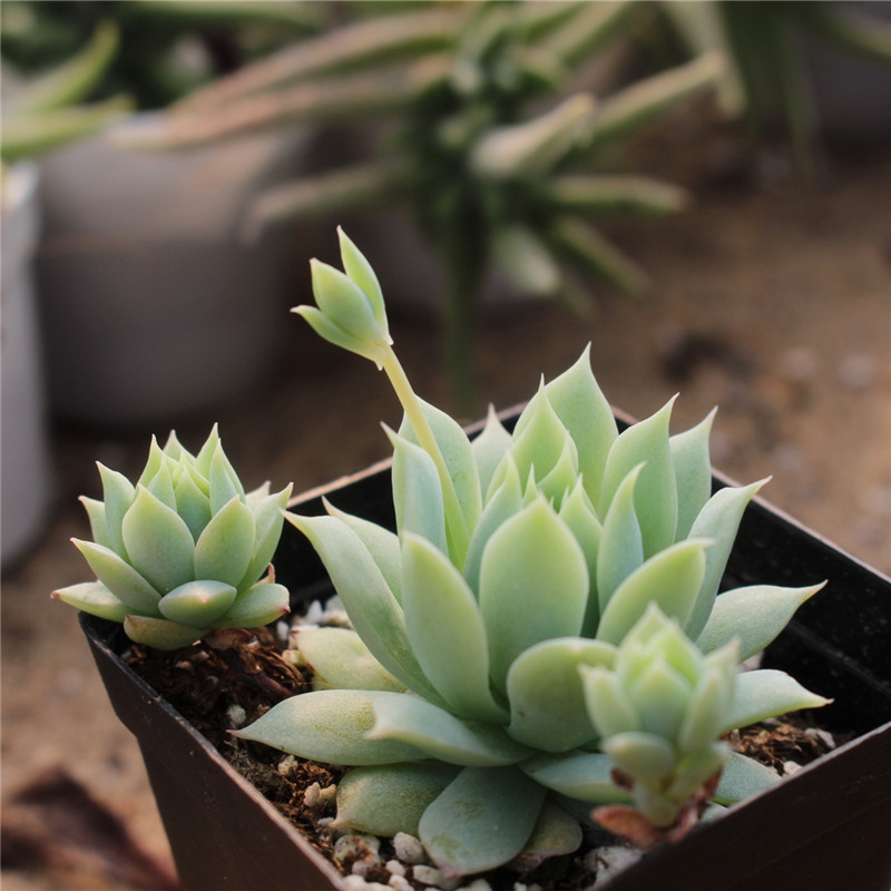 tyc7111cc太阳成集团