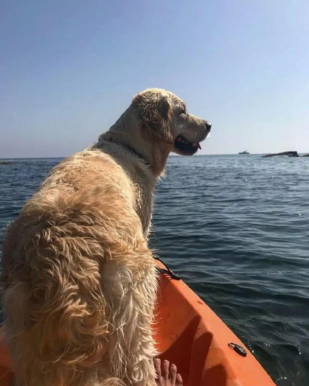 太阳成tyc7111cc官网-MAD空间装置作品“无际”亮相米兰设计周(图1) 太阳成tyc7111cc