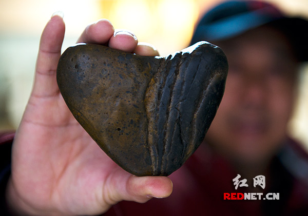 太阳成tyc7111cc官网