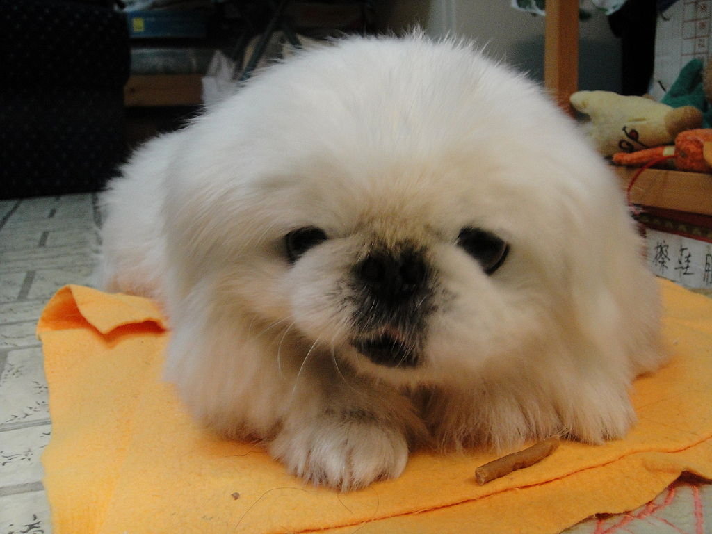 tyc7111cc太阳成集团