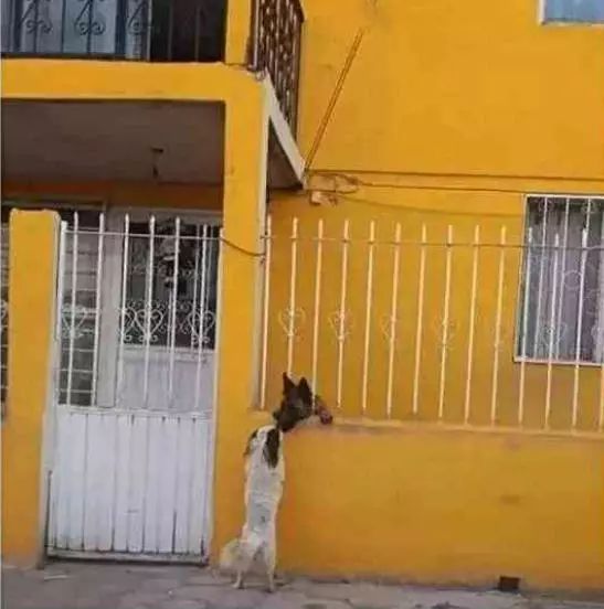 “太阳成tyc7111cc”受疫情影响,第19届翠贝卡电影节宣布将延期举办(图3) 太阳成tyc7111cc官网