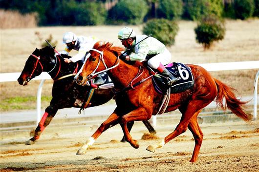 中国城市建设研究院有限公司风景园林项目荣获首届“计成奖”_太阳成tyc7111cc官网(图4) 太阳成tyc7111cc