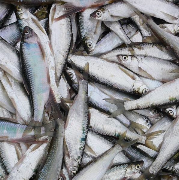 太阳成tyc7111cc官网