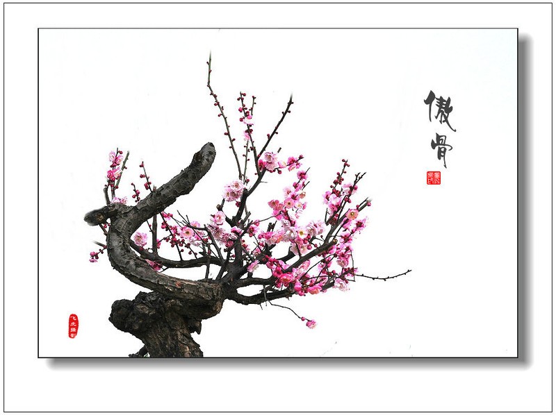 tyc7111cc太阳成集团