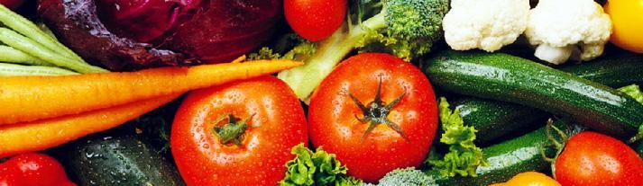 tyc7111cc太阳成集团