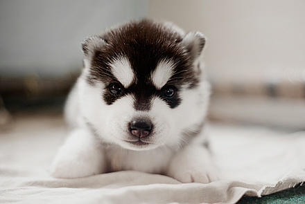 太阳成tyc7111cc官网_《完全男生手册》90后最强演技派代表 董子健春夏首度合(图2) tyc7111cc太阳成集团