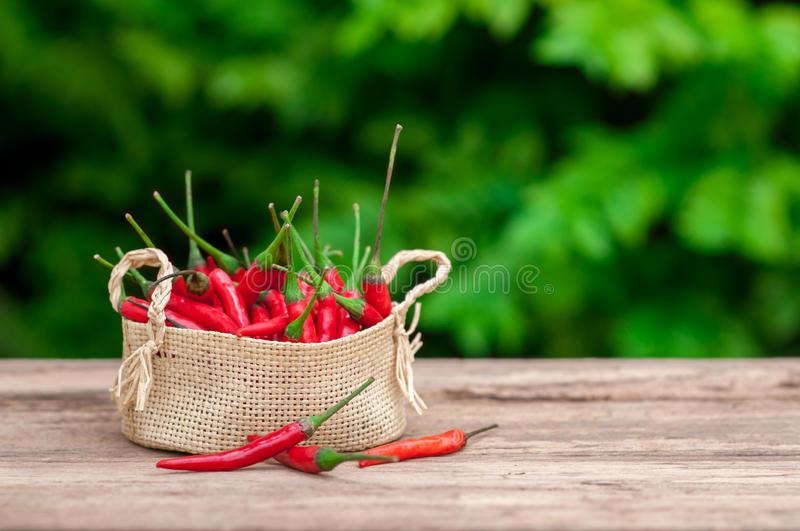 太阳成tyc7111cc官网_《完全男生手册》90后最强演技派代表 董子健春夏首度合(图1) tyc7111cc太阳成集团