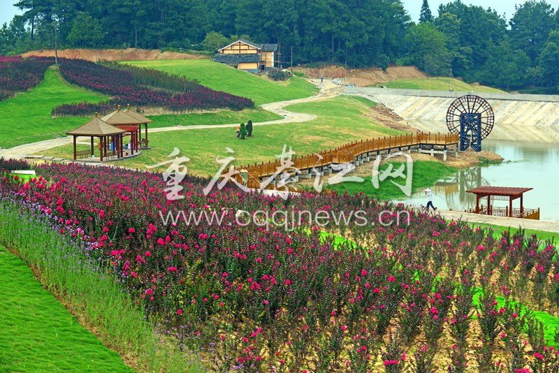 当台湾馆一日馆长 蔡依林好乐“太阳成tyc7111cc”(图2) 太阳成tyc7111cc