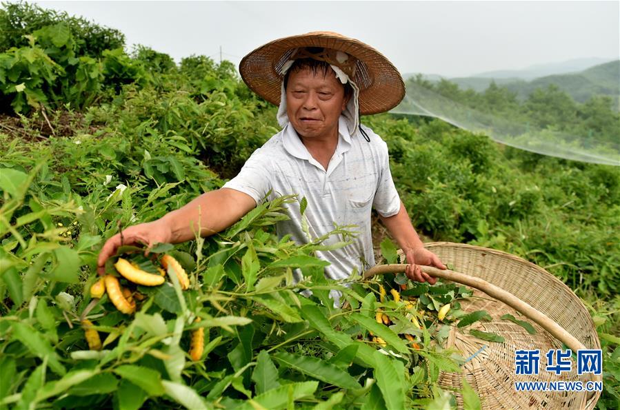 tyc7111cc太阳成集团