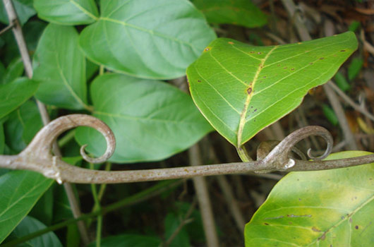 太阳成tyc7111cc官网