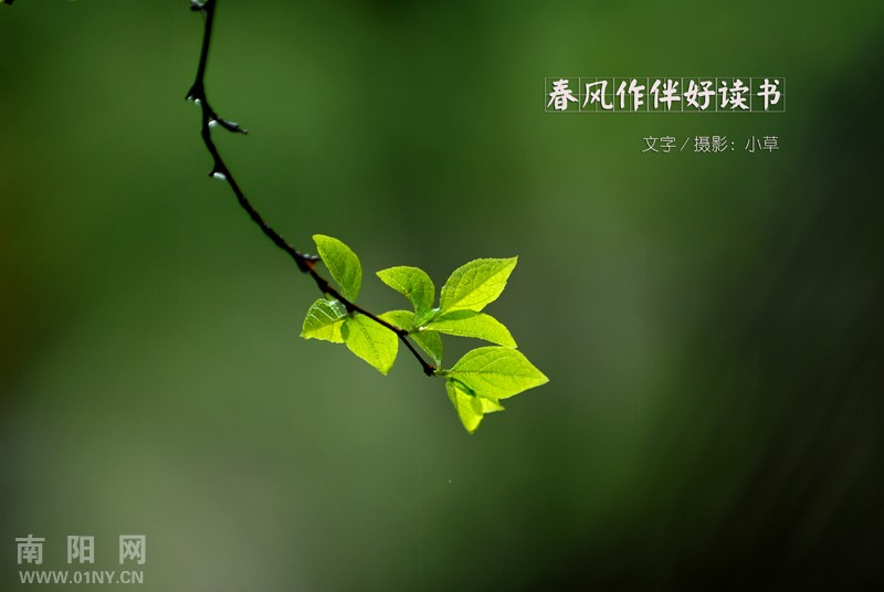 太阳成tyc7111cc官网