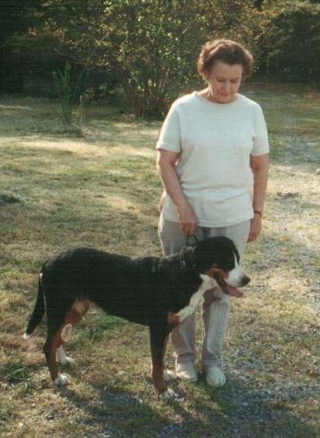 太阳成tyc7111cc官网