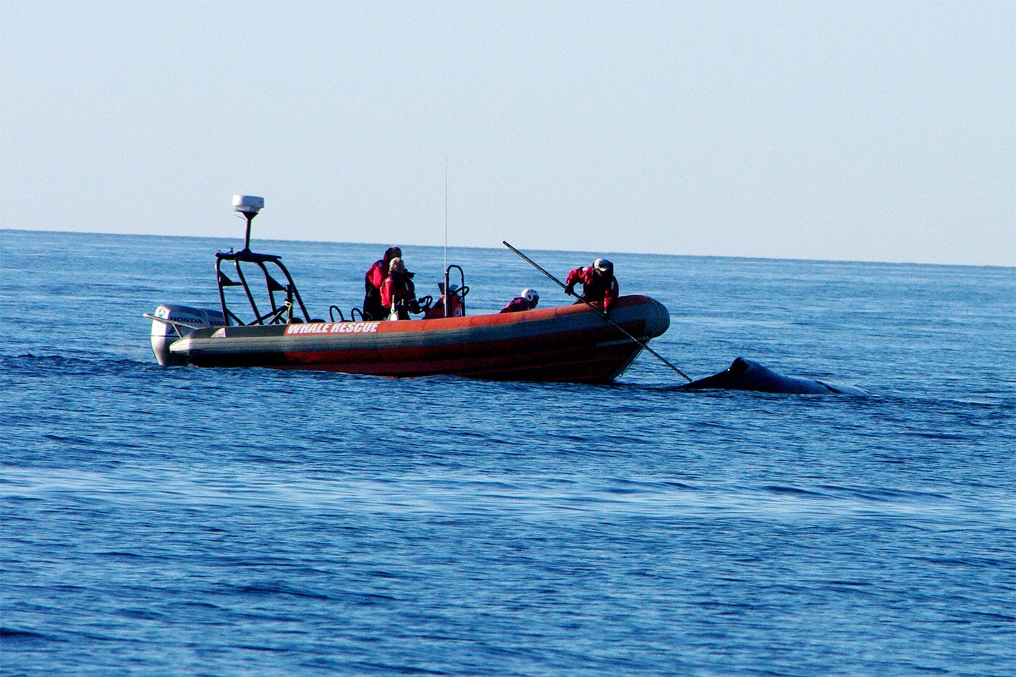 中国红十字会秘书长王汝鹏答公益时报记者问【太阳成tyc7111cc】(图1) 太阳成tyc7111cc