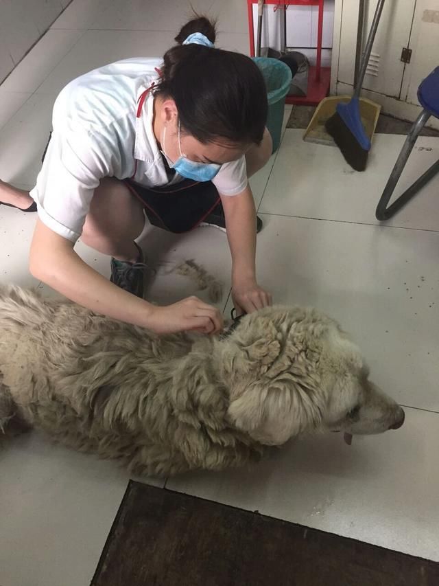 太阳成tyc7111cc官网