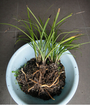 ‘太阳成tyc7111cc官网’县农业农村局召开2018年度党组班子民主生活会通报会(图1) tyc7111cc太阳成集团