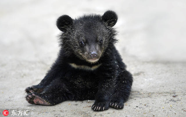 当经典遇上新声!《主持人大赛》为老牌节目注入青春活力【太阳成tyc7111cc官网】(图3) 太阳成tyc7111cc官网