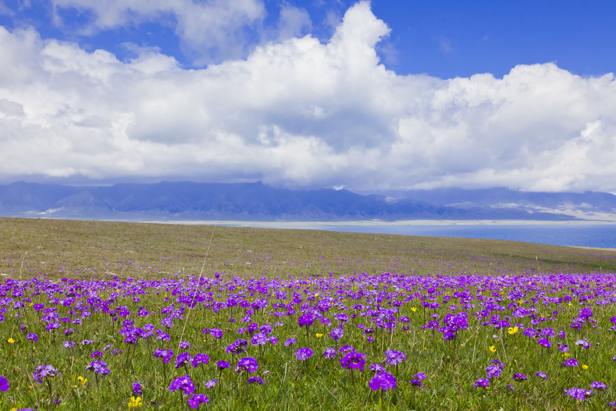 太阳成tyc7111cc_柠檬弟何维健接受挑战 现场突击教学“健康舞”(图3) 太阳成tyc7111cc官网