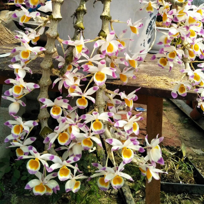 tyc7111cc太阳成集团_《绝命荒漠》:一场血腥残酷的“猫鼠游戏”(图3) 太阳成tyc7111cc官网