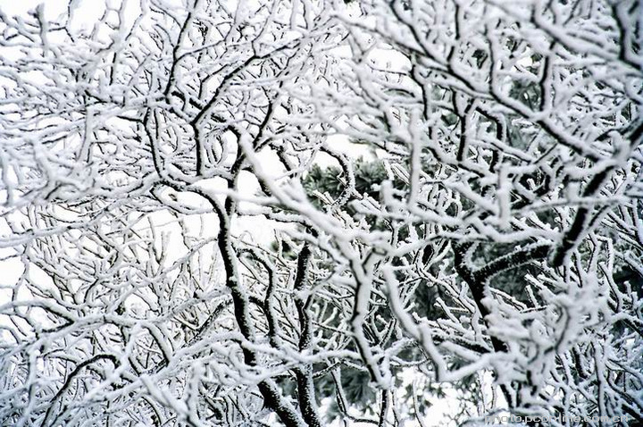 太阳成tyc7111cc官网