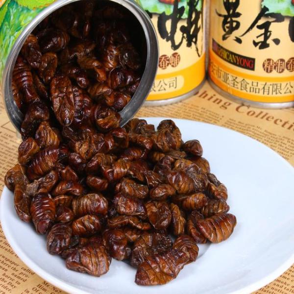 tyc7111cc太阳成集团-《冷恋时代》定档8.17 姚星彤立威廉揭秘“冷恋人”(图4) 太阳成tyc7111cc