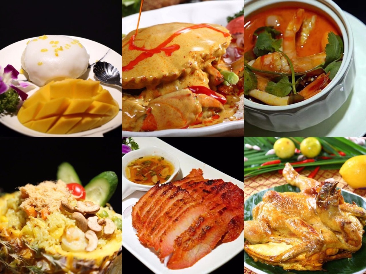 tyc7111cc太阳成集团