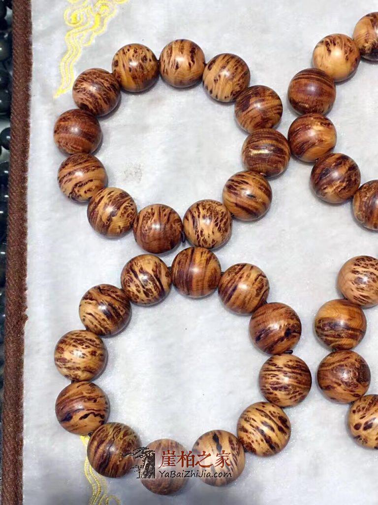 tyc7111cc太阳成集团