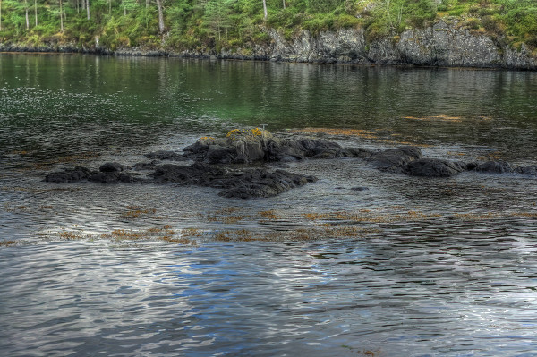 太阳成tyc7111cc官网