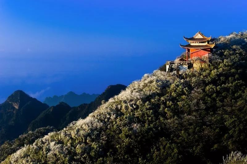 2014全球新增97幢摩天大楼式建筑 中国占据六成-太阳成tyc7111cc官网(图3) 太阳成tyc7111cc