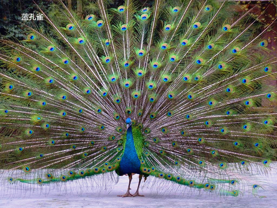 tyc7111cc太阳成集团