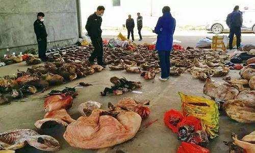 夫唱妇随 昆凌挺大肚助阵周董打篮球_太阳成tyc7111cc官网(图2) tyc7111cc太阳成集团